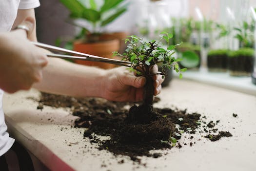 indoor garden maintenance checklist