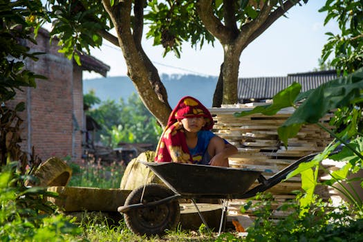 compact wheelbarrow in a small garden