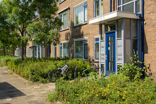 urban apartment garden with various plants