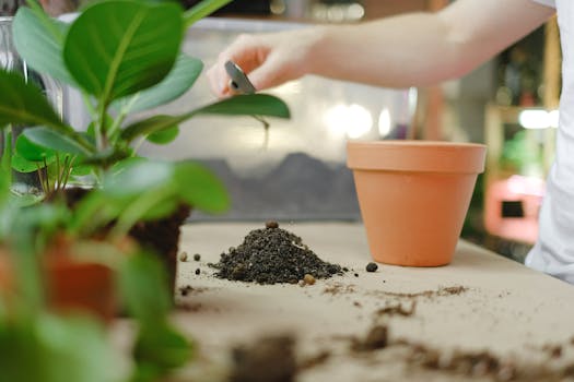 different types of potting soil