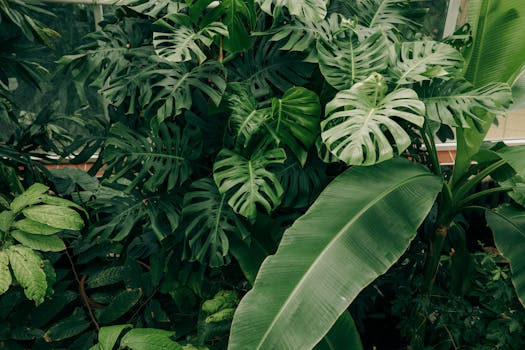 Lush indoor garden