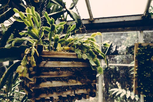 indoor garden with container plants