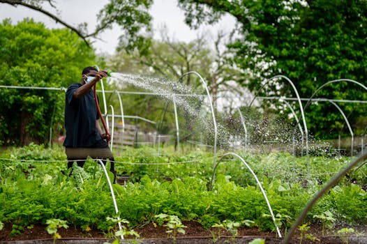 urban garden with healthy plants