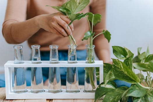 container garden with vibrant plants