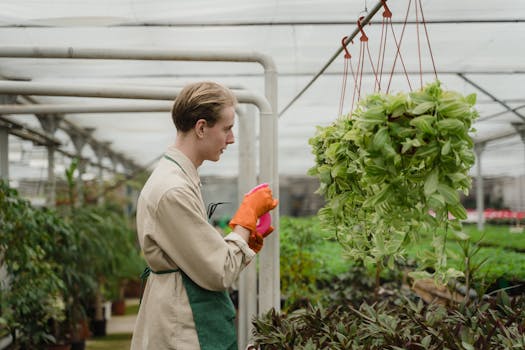 a plant nursery displaying native plants