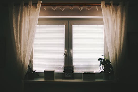 Various indoor plants on a windowsill