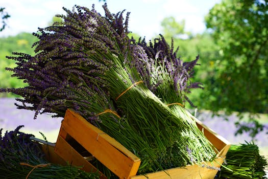 vertical garden with flowers and herbs