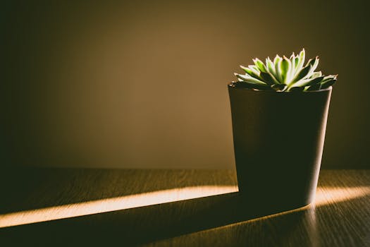 image of vertical garden setup