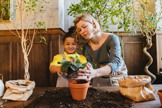 image of thriving indoor garden with compost