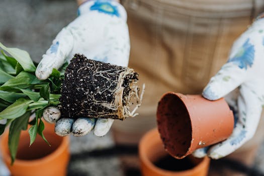 urban gardener with compost bin