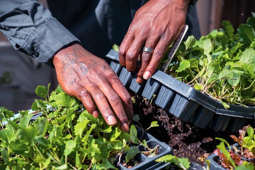 happy urban gardener with herbs and veggies