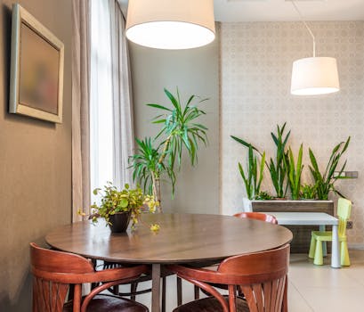 potted plants in a bright room