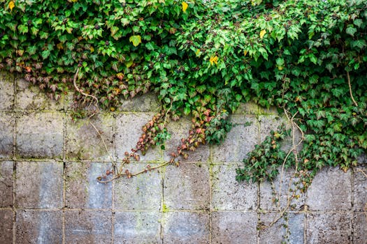 vertical garden on a wall