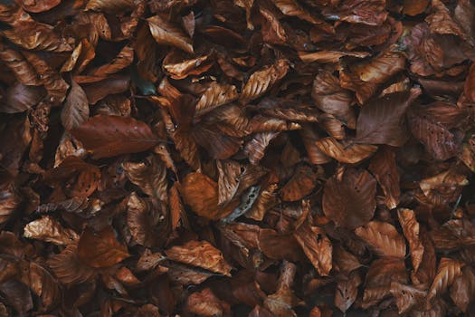 eco-friendly mulch options