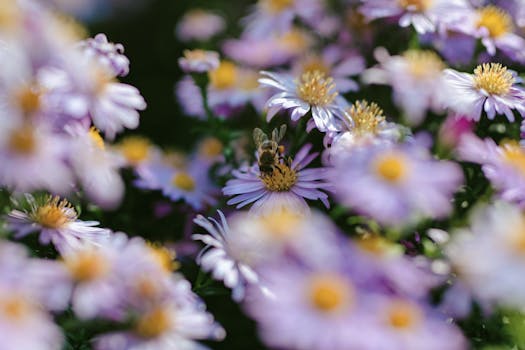 image of beneficial insects in a garden