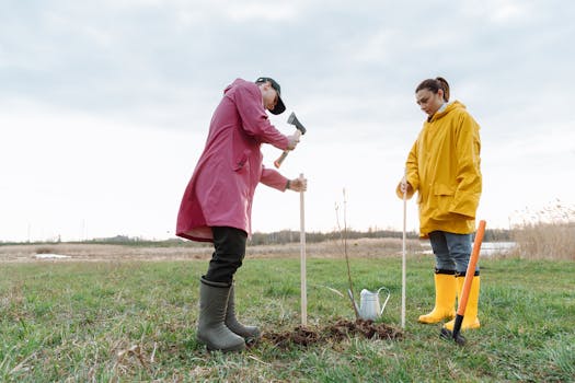 image of digging a hole for tree planting