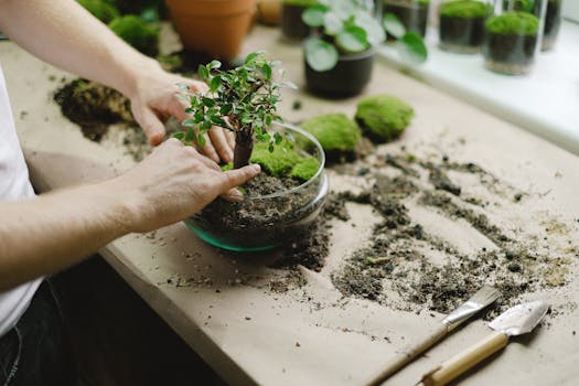 different types of bonsai soil