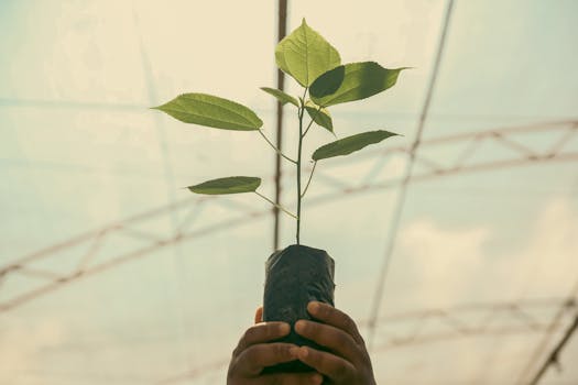 eco-friendly gardening