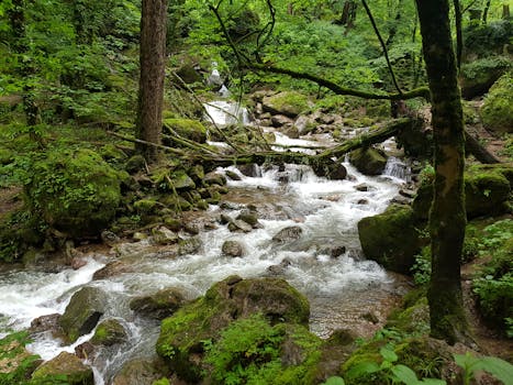 vibrant green oasis