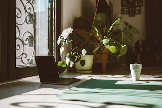 Indoor garden setup with plants by a window