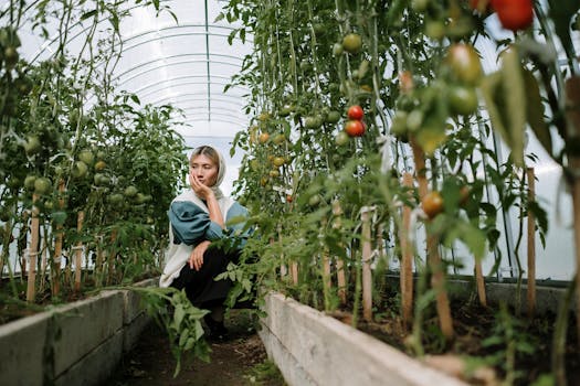 urban gardener showcasing their cherry tomato harvest