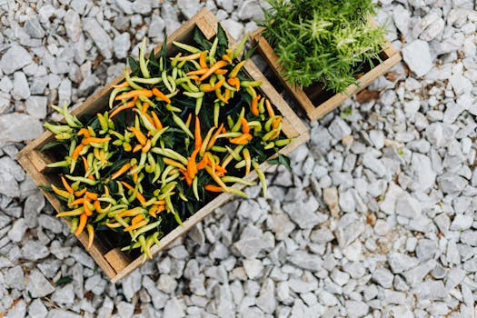 container garden with vegetables