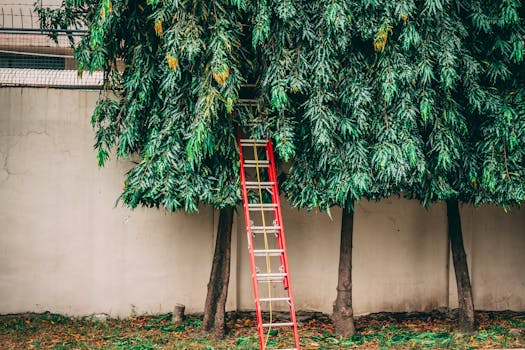 Vertical gardening setup using wall-mounted planters