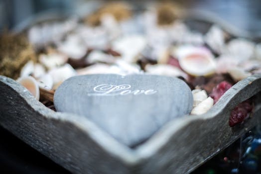 image of a pebble tray for humidity