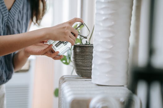 image of indoor plants with varied humidity needs