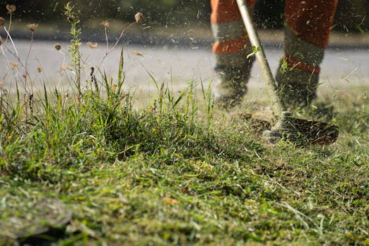 seasonal garden maintenance