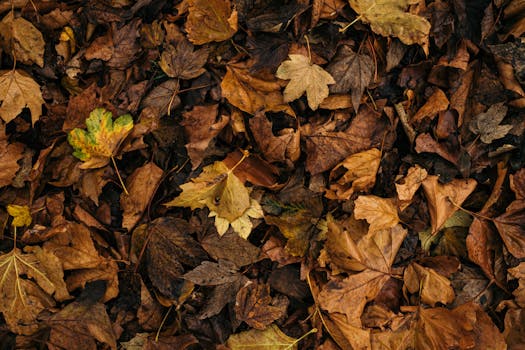 compost pile diagram