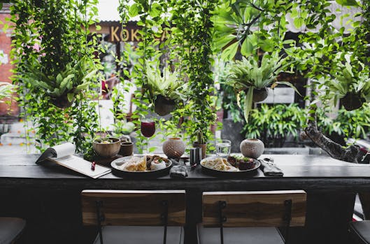 Indoor garden with various plants