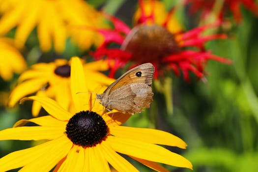 vibrant indoor garden with pollinator plants