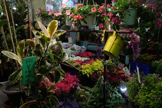 indoor garden with various plants