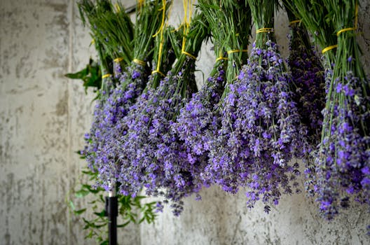 A close-up of fresh herbs in an indoor garden