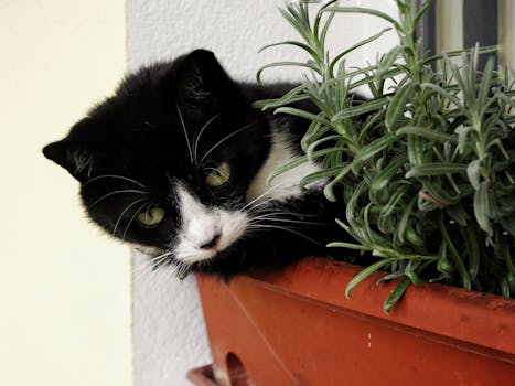 container herb garden