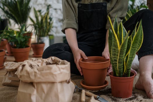 urban gardening with herbs