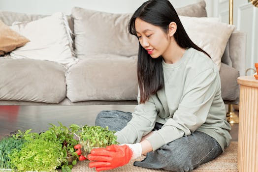 healthy indoor plants in pots