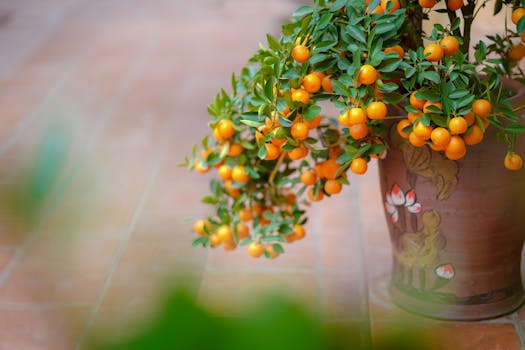 indoor fruit tree garden with healthy plants