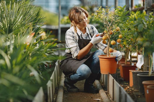 urban gardener sharing tips on fruit tree care