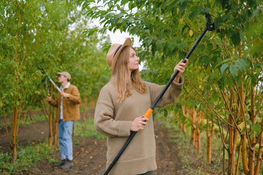 essential pruning tools