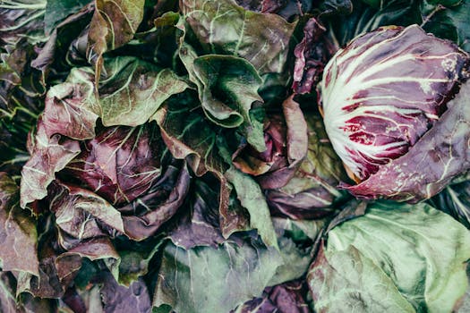 colorful vegetable garden