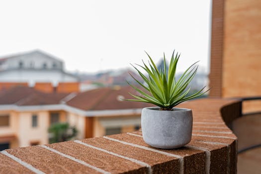 urban gardener on balcony