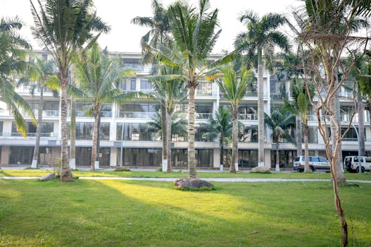 green oasis in an apartment garden