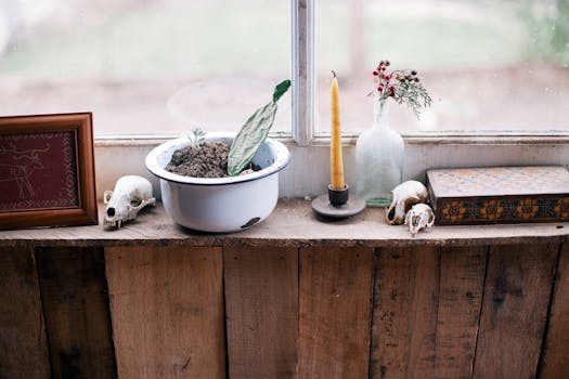 succulent arrangement on a windowsill