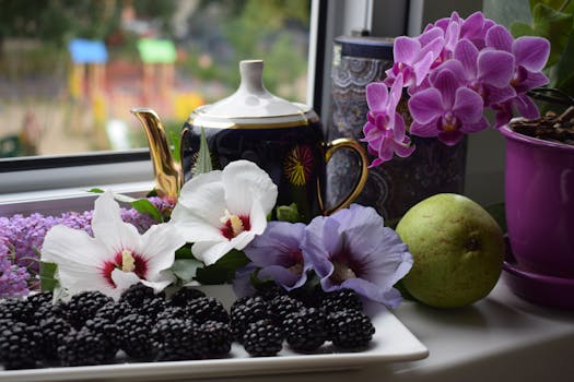 Indoor plant arrangement on a windowsill