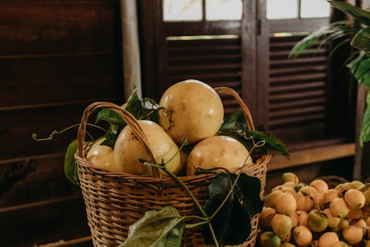 Healthy plants thriving in a small indoor garden