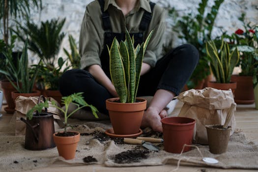 indoor garden with herbs and flowers