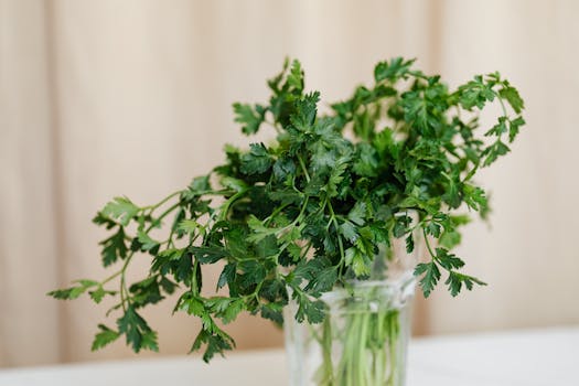 thriving indoor herb garden