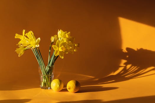 colorful indoor garden